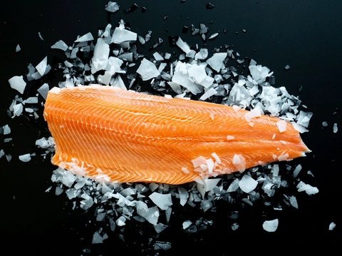 59b03a44_filet-saumonWEB.png
